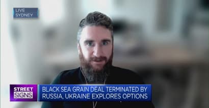 Analyst discusses the Black Sea grain deal fallout
