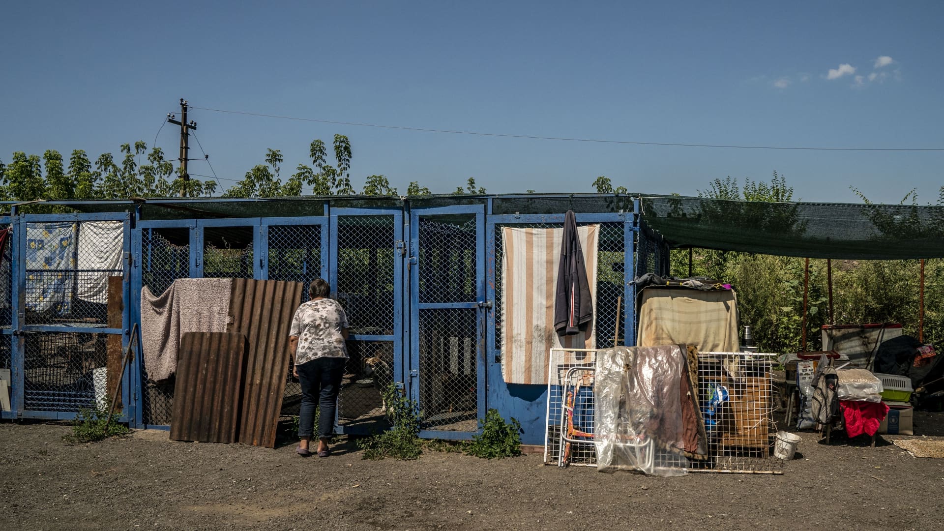 Volunteers work at the shelter of 'Society for the Protection of Animals Charitable Foundation' in Kramatorsk, Ukraine on July 26, 2023. 