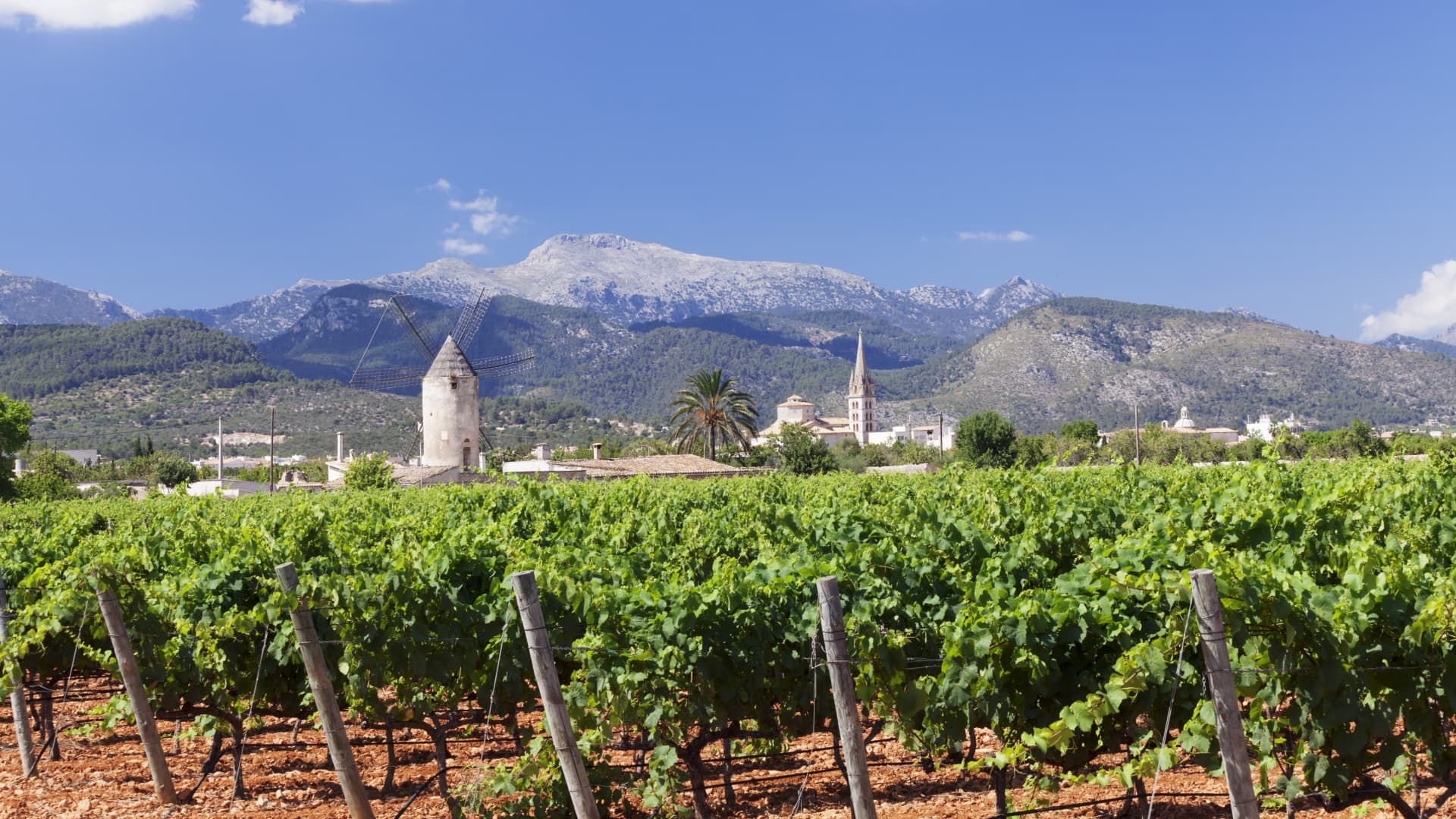 Binissalem, Mallorca, is surrounded by vineyards dating back to Roman times.