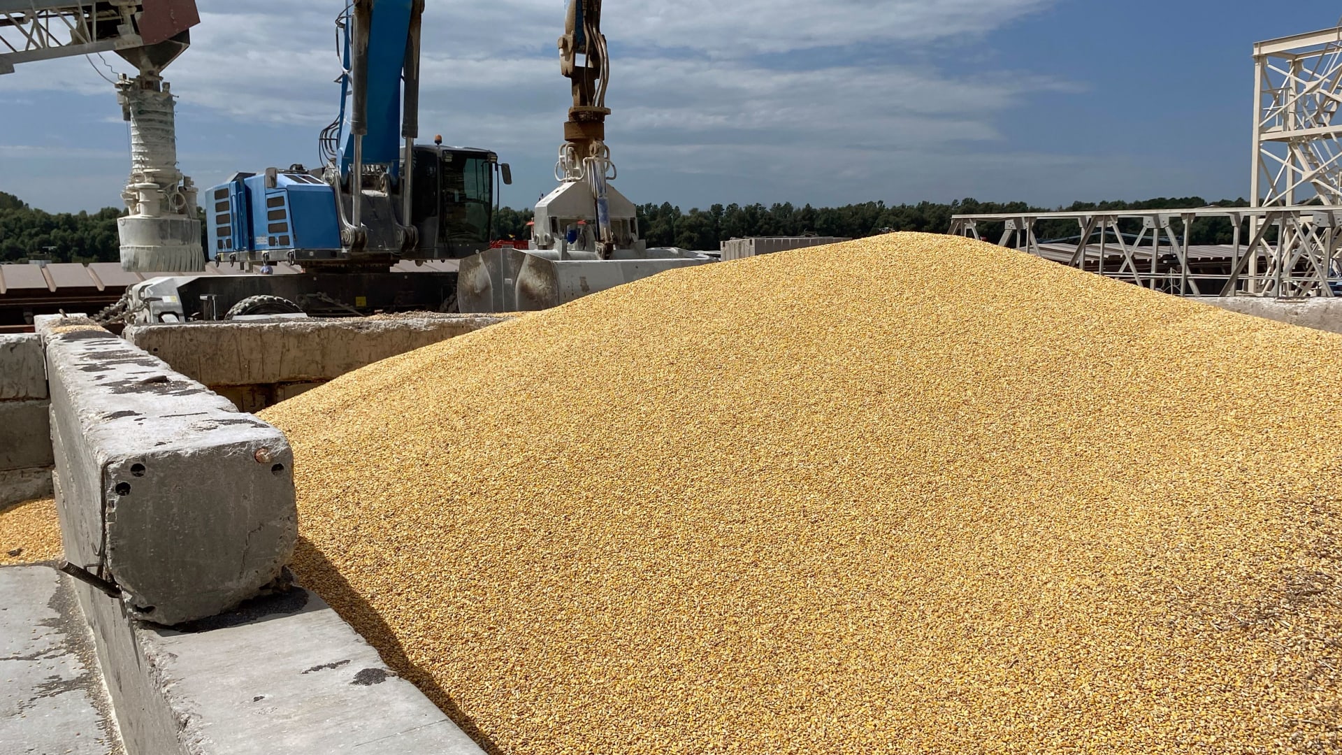 A pile of maize grains is seen on the pier at the Izmail Sea Port, Odesa region, on July 22, 2023.
