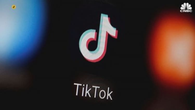 The great debate over banning TikTok