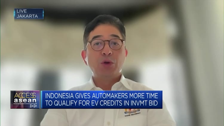 EVs: We want to be part of the global supply chain, says Indonesian Chamber of Commerce and Industry