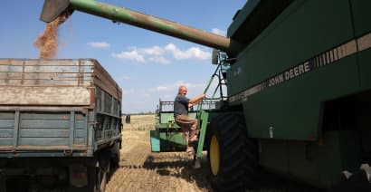 Poland, Hungary, Slovakia to introduce own bans on Ukraine grains 