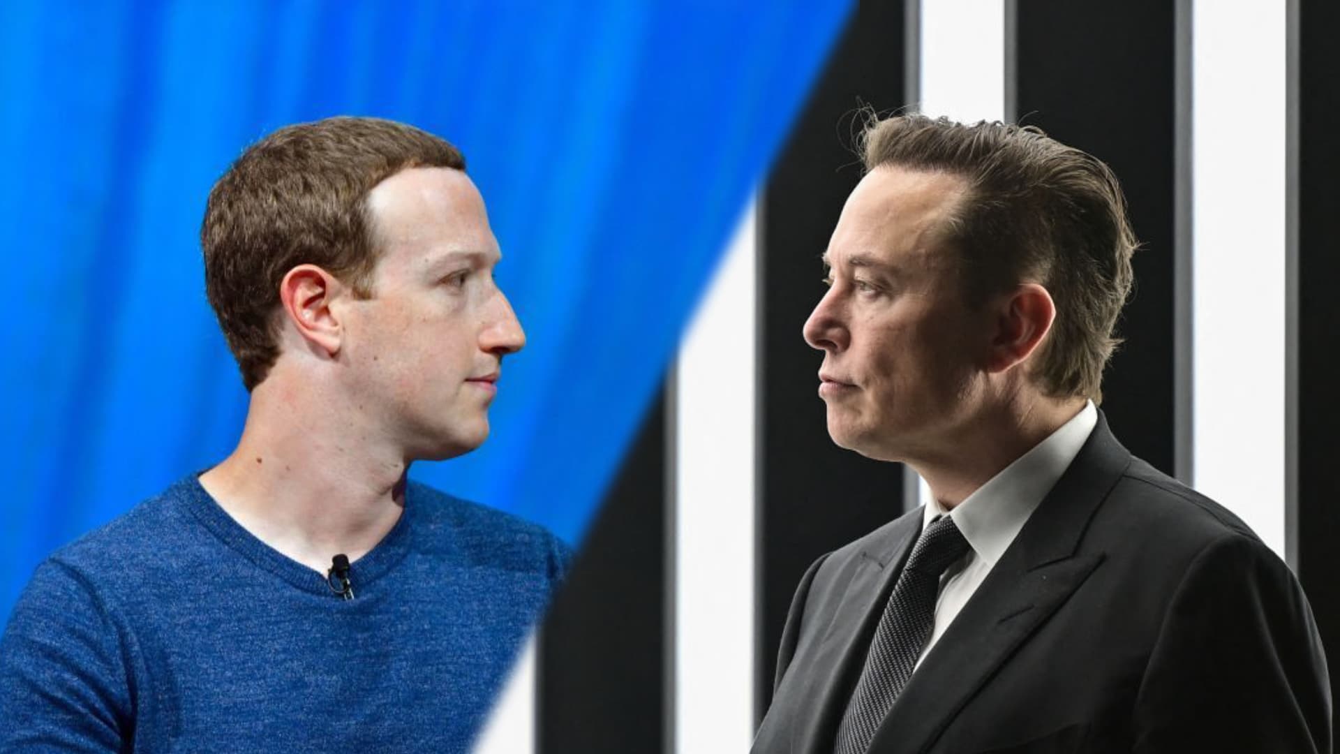 Mark Zuckerberg calls off Elon Musk cage match: 'Elon isn't serious'