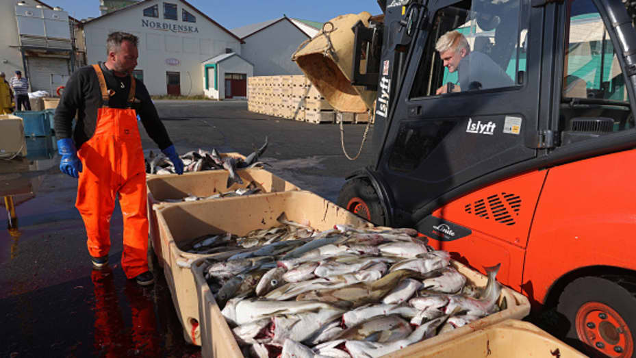 HOFN, HORNAFJORDUR, ISLANDIA - 16 DE AGOSTO: El pescador Vigfus Asbjornsson (L) clasifica su captura de bacalao y abadejo el 16 de agosto de 2021 en Hofn, Hornafjordur, Islandia.  El calentamiento global está contribuyendo a un aumento de las temperaturas en las aguas alrededor de Islandia, lo que está afectando a la industria pesquera.  Las temperaturas cambiantes tienen una fuerte influencia en el lugar donde las especies de peces encuentran hábitat, lo que lleva a cambios en la captura de pesca.  Un pescador local también dijo que las áreas de desove de los peces que captura se están moviendo más al norte.