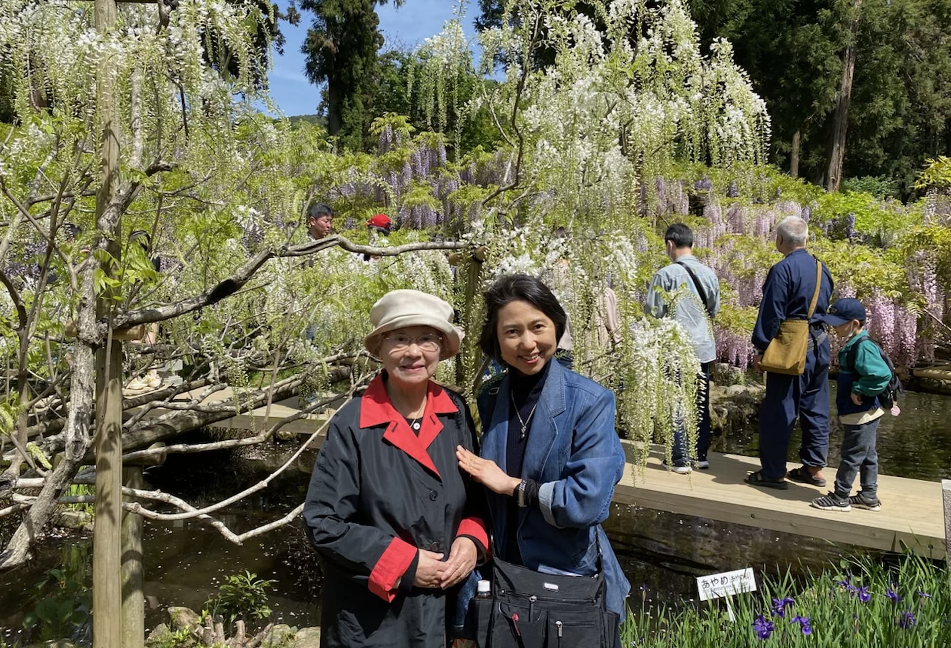 85-year-old Japanese moms 5 rules for a long, happy life Complaining only leads to more complaints