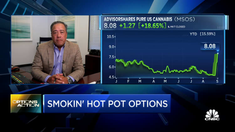 Options Action: Traders bet big on cannabis stocks
