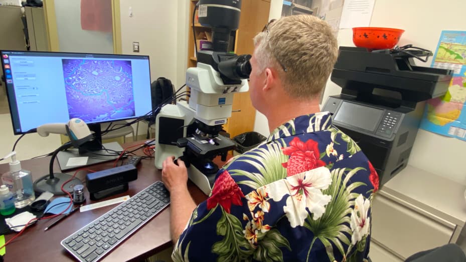Dr. Niels Olson uses the Augmented Reality Microscope.