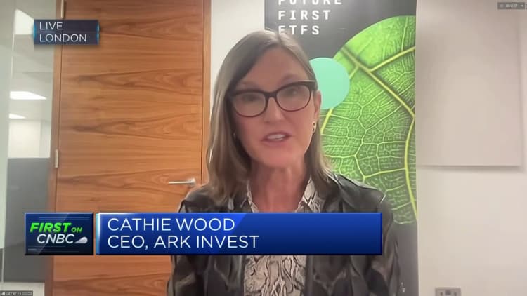 Watch CNBC's full interview with ARK Invest CEO Cathie Wood