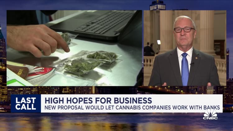 Cash-only cannabis banking is unsafe and unchecked, says Sen. Kevin Cramer