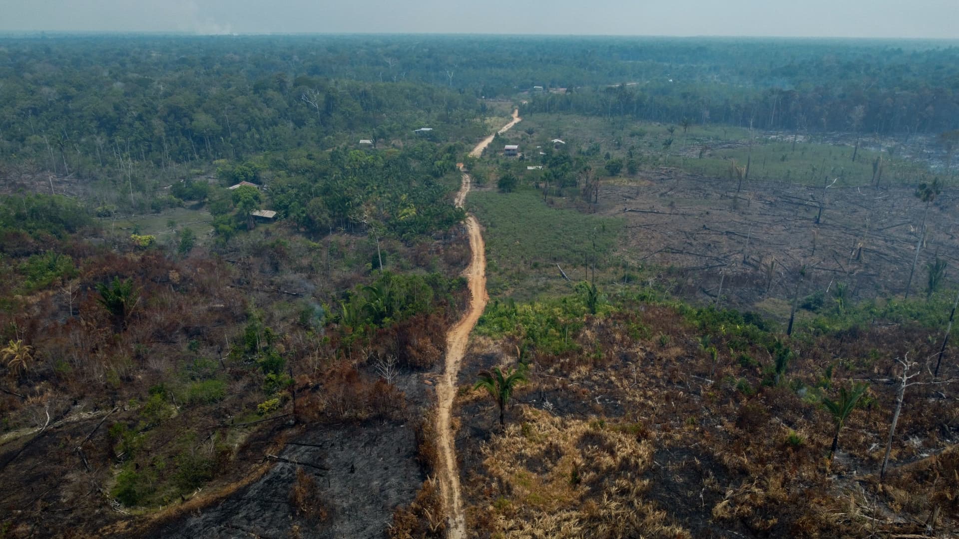 Brazil touts climate credentials as Amazon deforestation falls — but draws criticism over oil bet