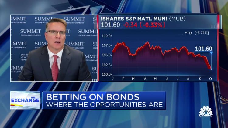 Summit Global Investments CEO: Position equities defensively and pick up yield in bonds