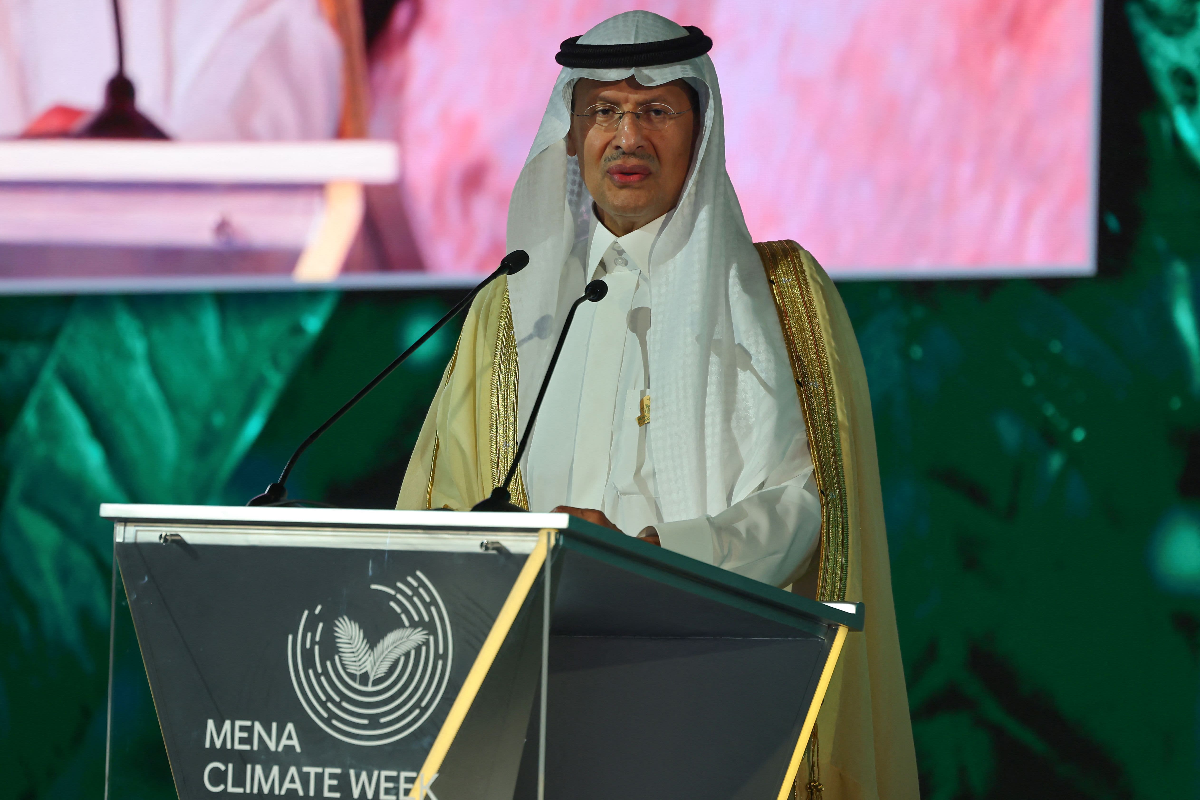 ‘I would not forfeit the precautionary approach’ to oil production policy, Saudi energy minister says