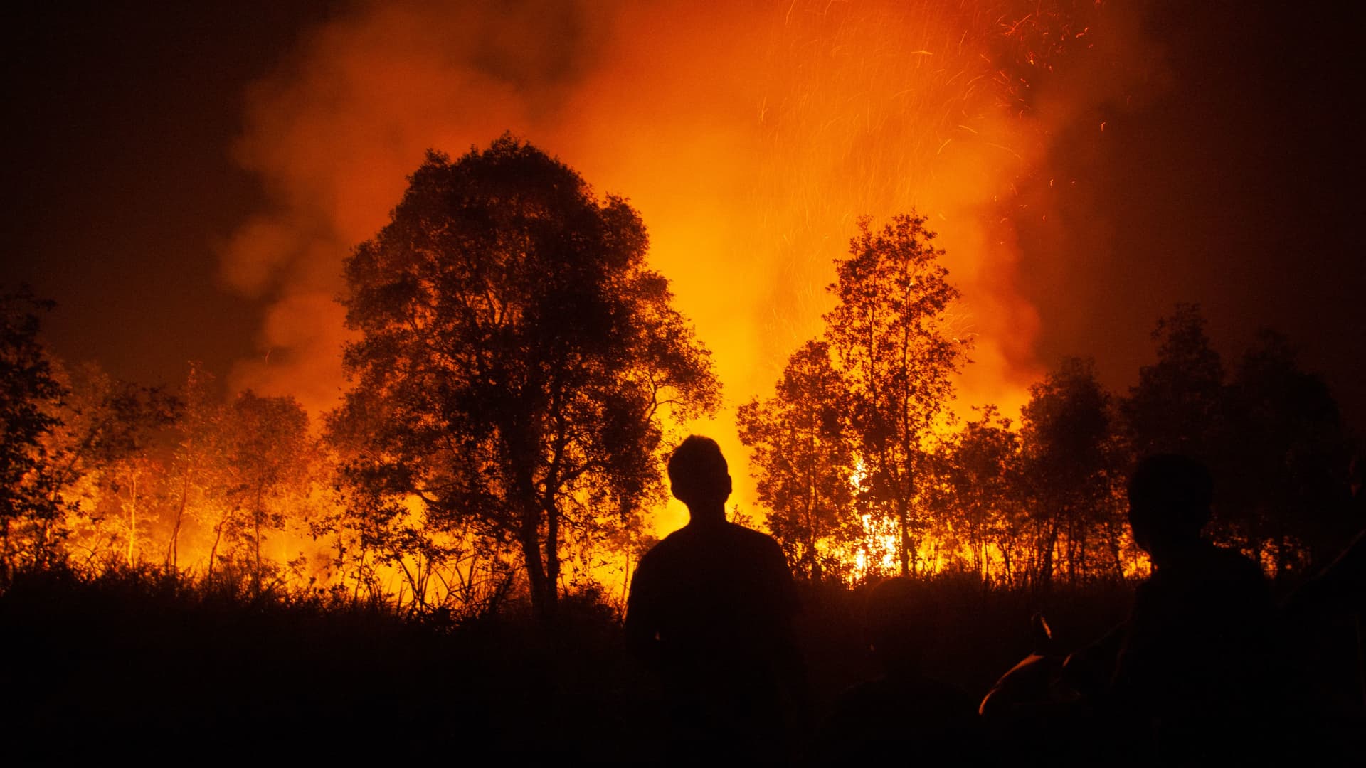 Southeast Asia haze returns as peatland fires fan global warming fears