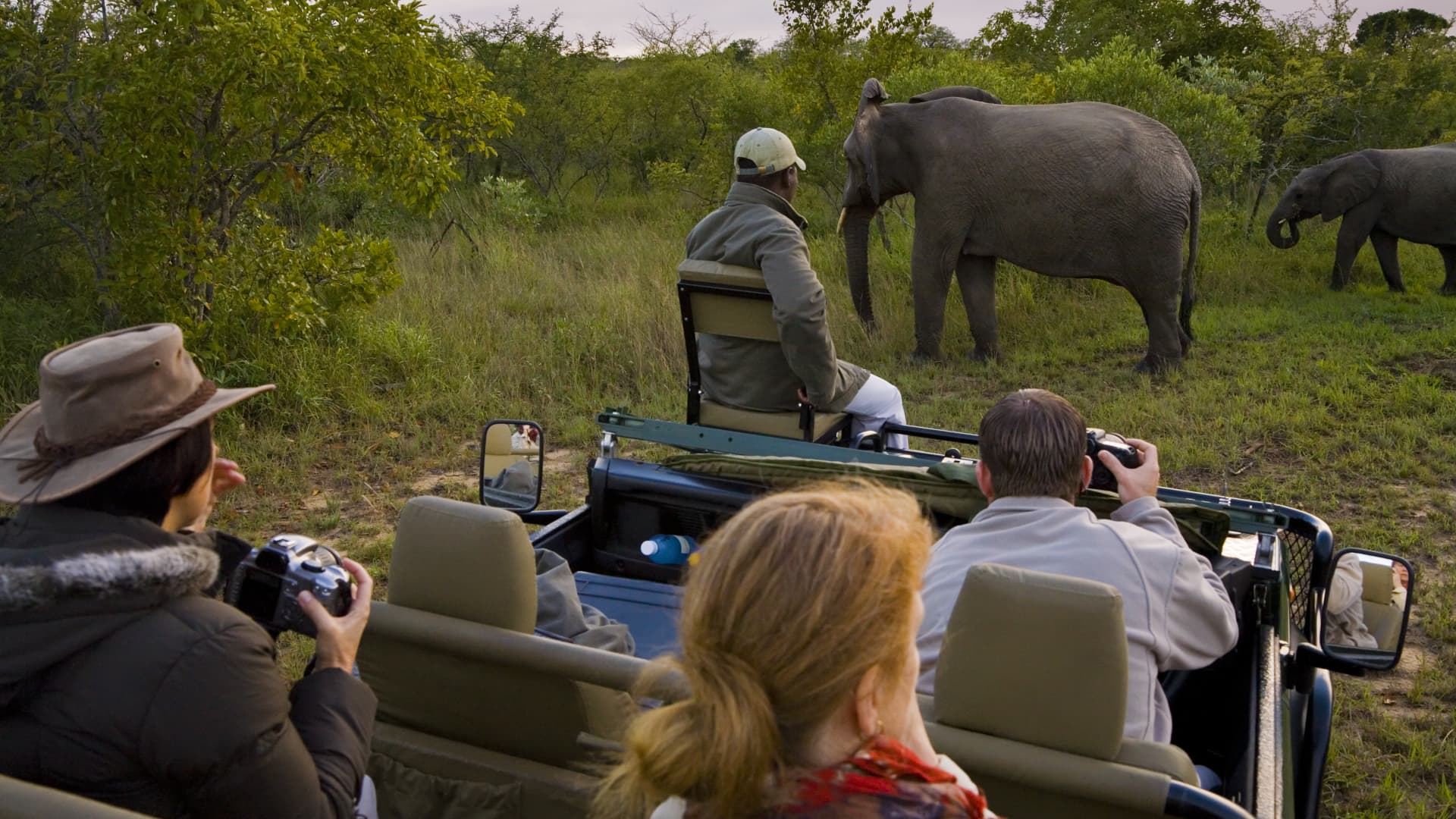 A game drive at Kruger National Park, South Africa.
