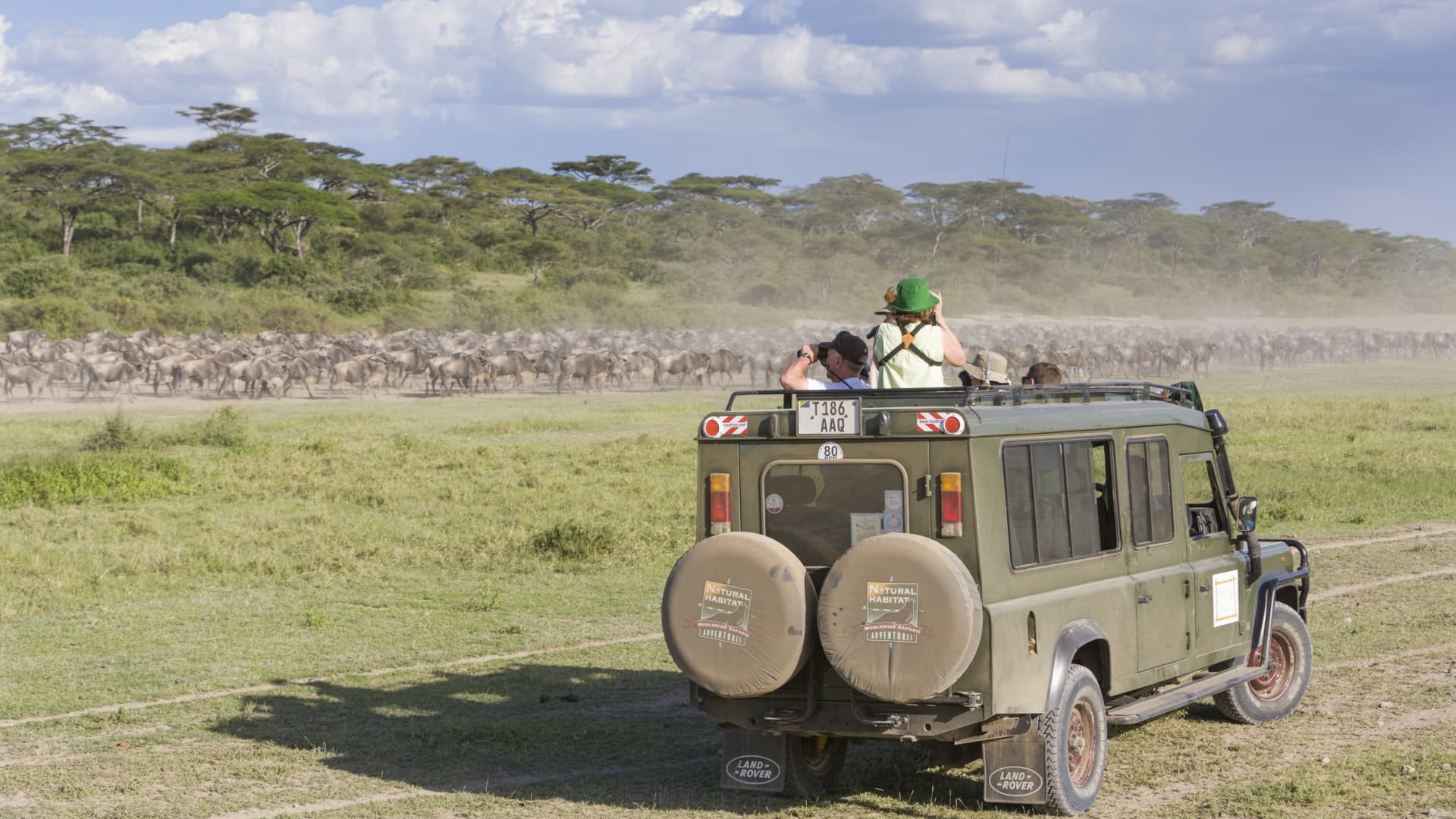 Tourists watch a herd of wildebeest from a land cruiser in the Serengeti National Park, Tanzania.
