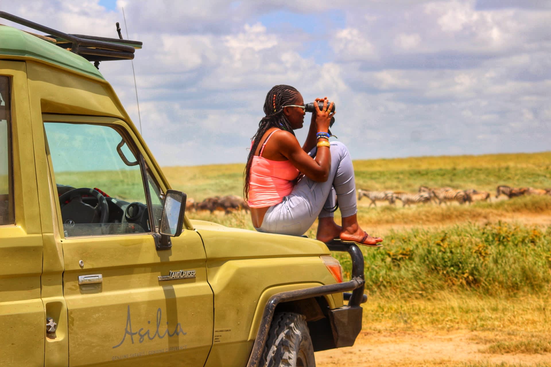 The best places — and best times — to take a safari
