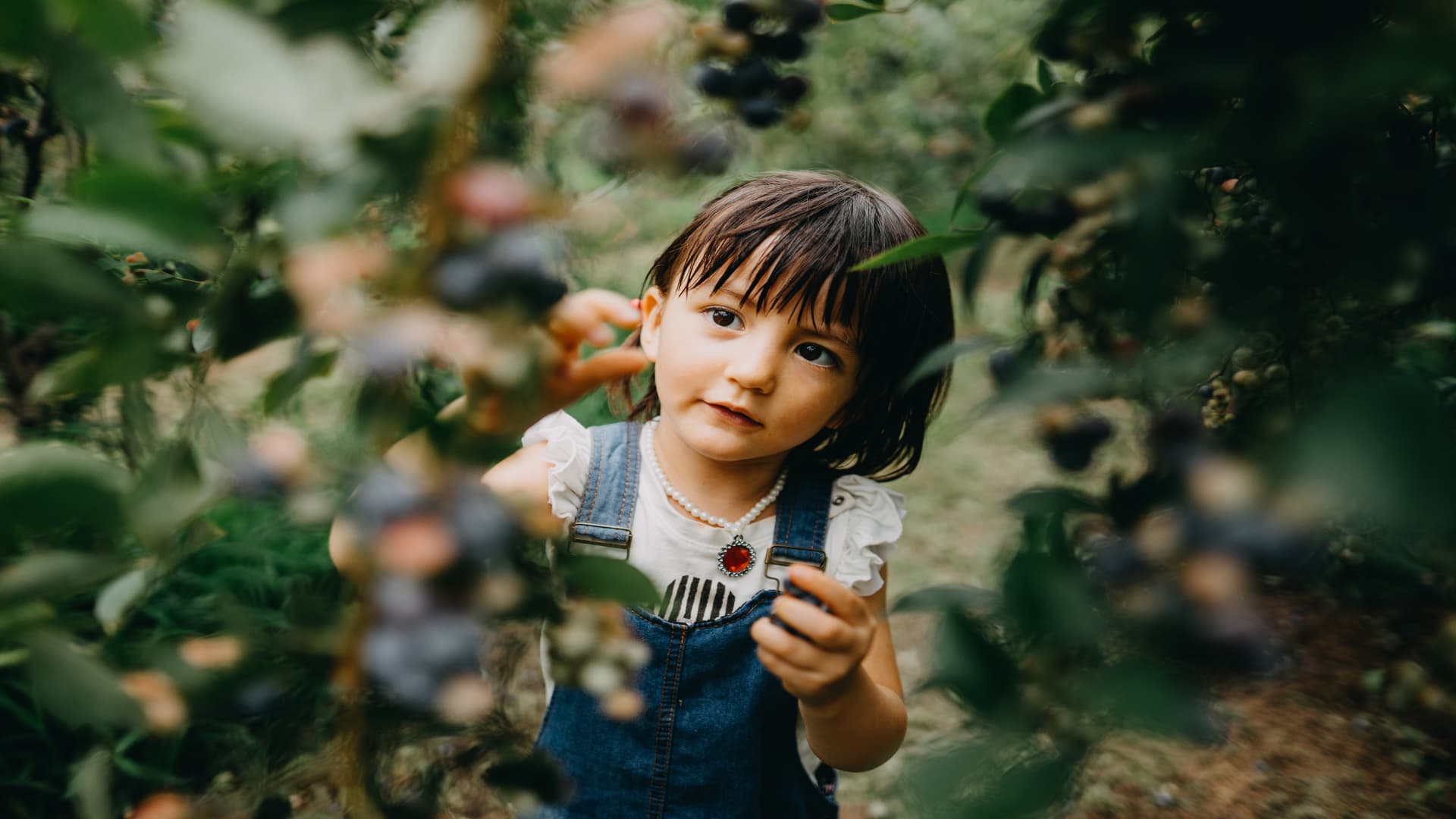I am a mother in Japan, residence to the world’s healthiest kids—4 things Japanese dad and mom do in different ways to increase thriving eaters