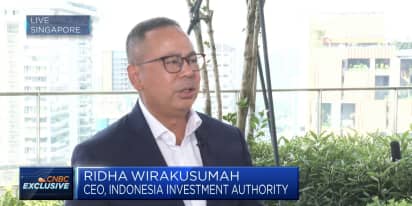 Indonesia's energy transition is challenging: Indonesia Investment Authority
