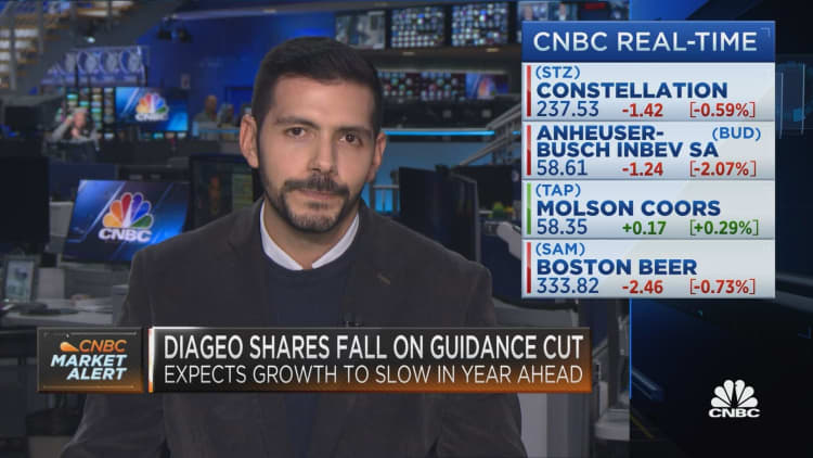 Diageo stock falls on guidance cut