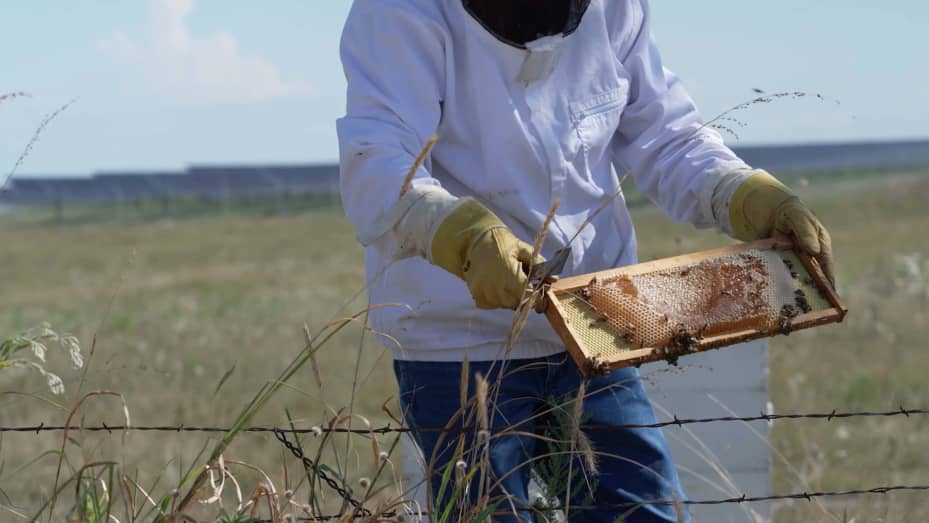 Landowner and beekeeper Tom Koranek shows off the honey he produces at Briar Creek Solar Farm in Navarro County, Texas.