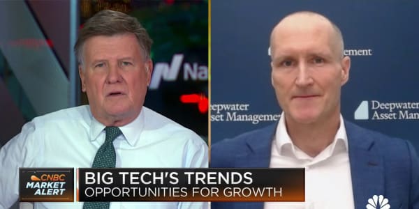 Expect a shift in performance from 'Magnificent Seven' to mid-sized tech in 2024, says Gene Munster
