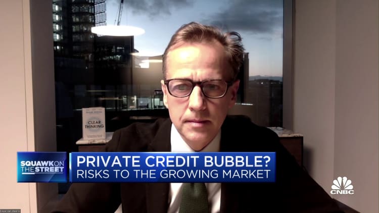 Top players in private credit will outperform new entrants in the space, says Oliver Wyman's Steenis