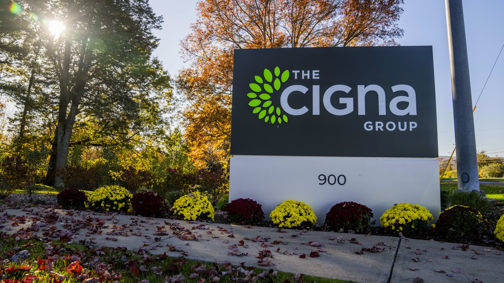 Cigna shares slide after report it might merge with Humana