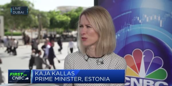 Estonian PM calls on global powers to emulate her country's eco efforts