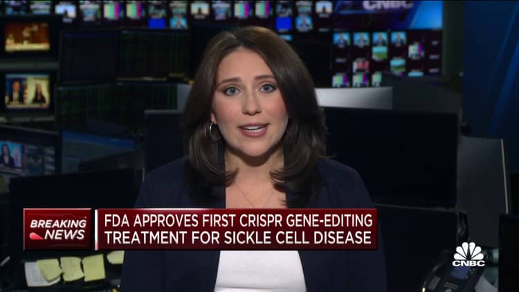 FDA greenlights first gene-editing treatment, Casgevy, for sickle cell disease