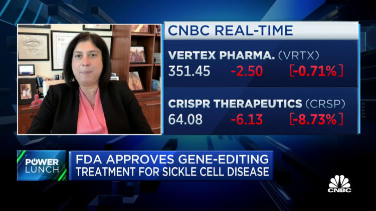 Patients describe Casgevy gene-editing treatment as a cure, says Vertex CEO Reshma Kewalramani