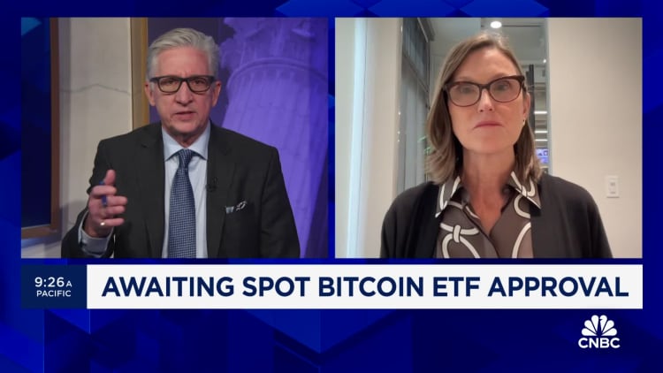 ARK Invest CEO Cathie Wood on spot bitcoin ETF