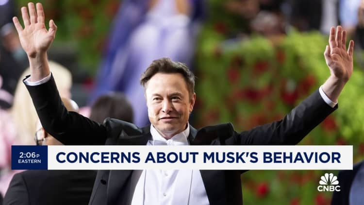 Musk's future at Tesla under scrutiny