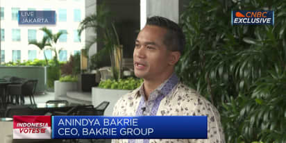 Indonesia's Bakrie Group says it wants to get involved in nickel