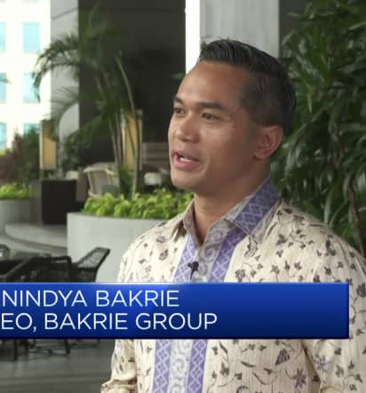 Indonesia's Bakrie Group says it wants to get involved in nickel