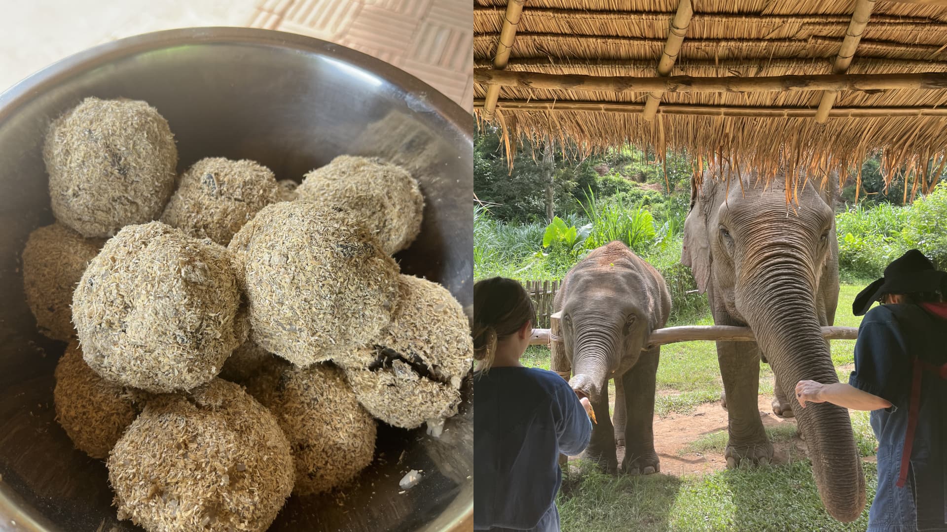 Guests at Anantara's Golden Triangle Elephant Camp & Resort can prepare 
