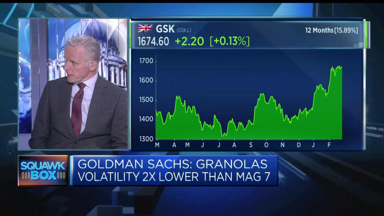 Europe's GRANOLAS are lower volatilty than Magnificent 7, Goldman strategist says