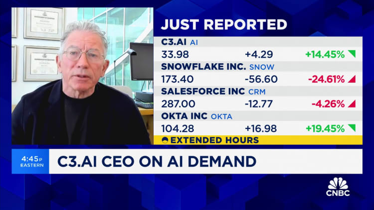 C3.ai CEO Thomas Siebel: We've spent the last 15 years preparing for the AI wave