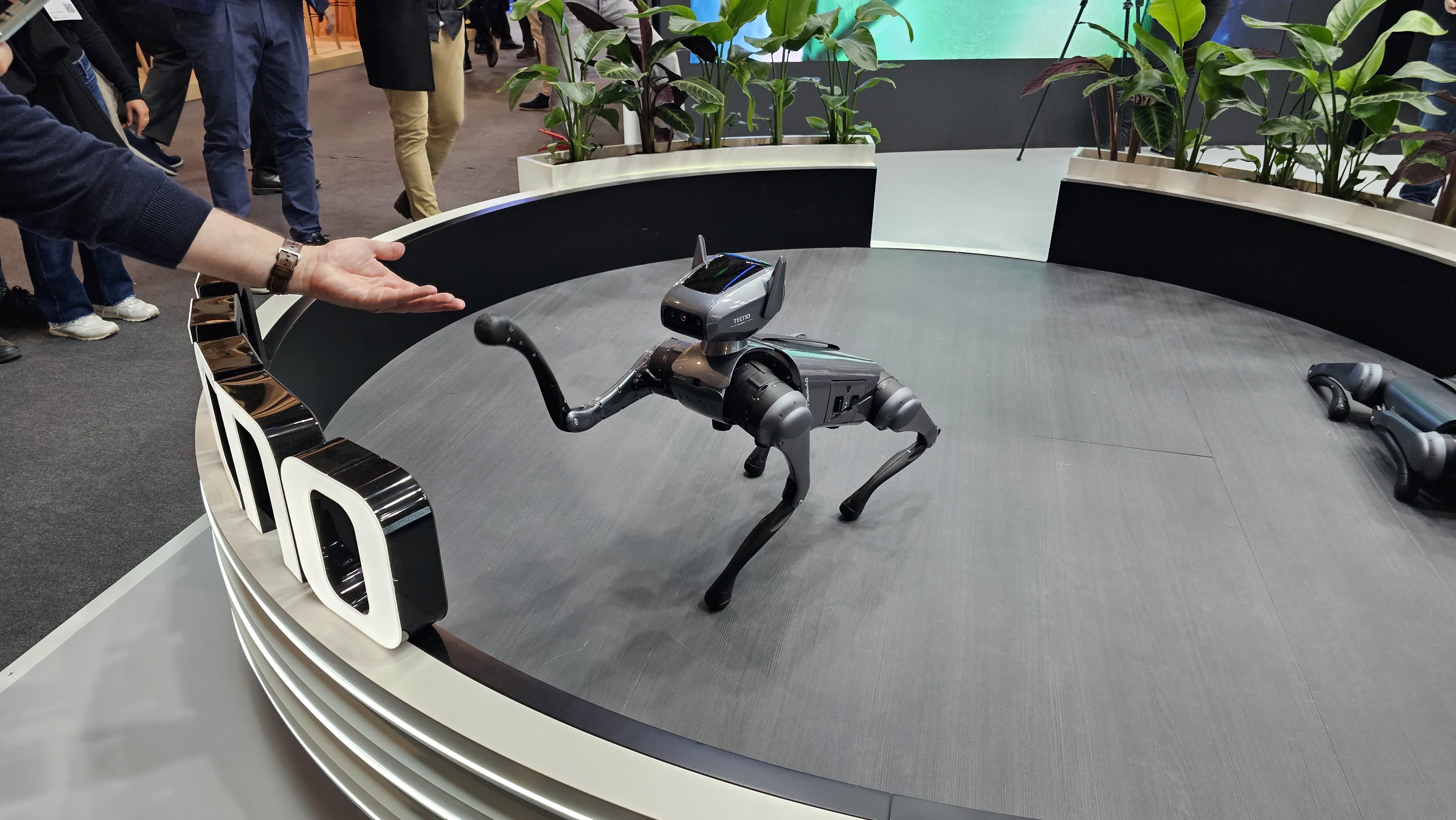 Smart rings, robot dogs, bendable phones