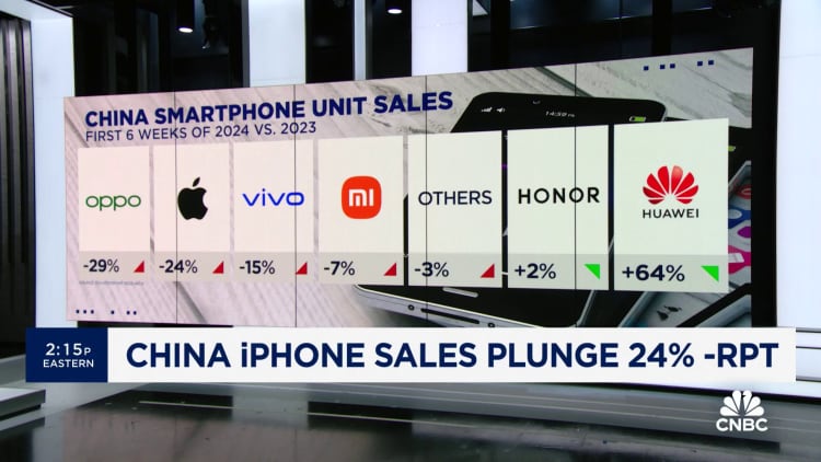 China iPhone sales plunge 24%, report finds