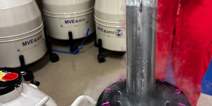 'Too few college-educated men': A look at why many women undergo egg freezing