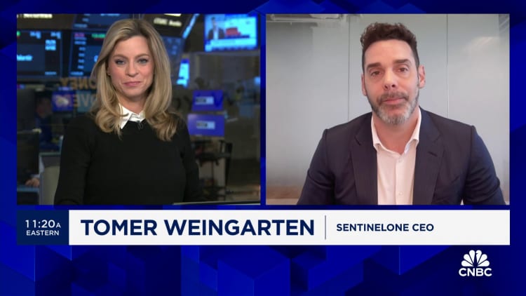 SentinelOne CEO on Q4 results: Our progress towards profitability is 'second to none' right now