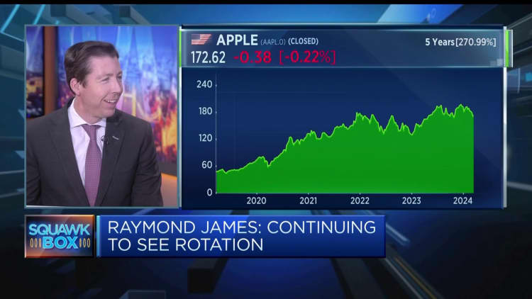 'We're back to a stock picker's market,' Raymond James says