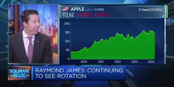 'We're back to a stock picker's market,' Raymond James says