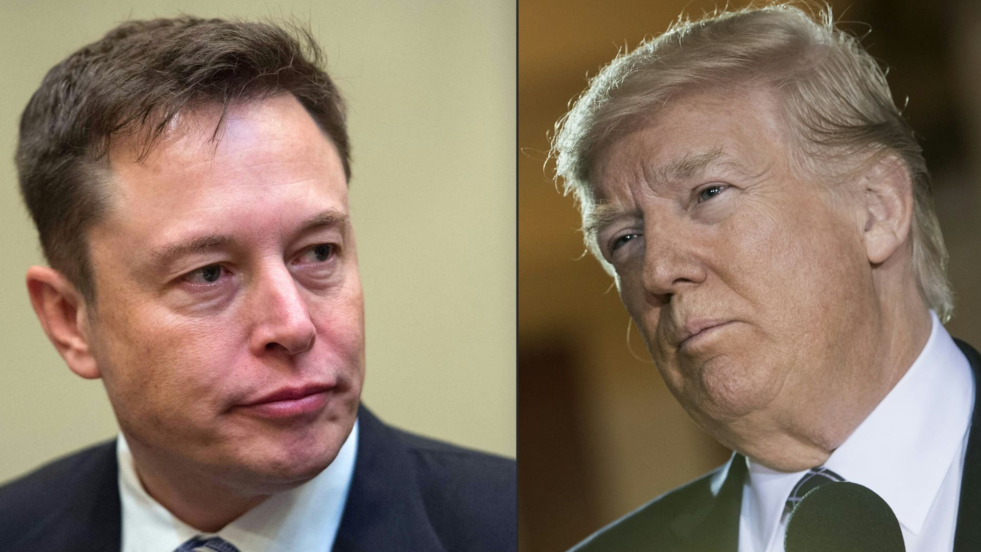 Elon Musk says Trump ‘came by’ while he was eating breakfast, did not ask for money
