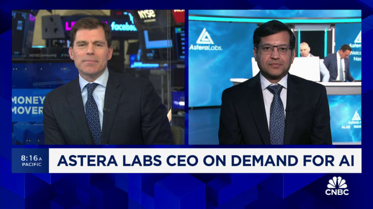AI is still in the early stages of development, says Astera Labs CEO
