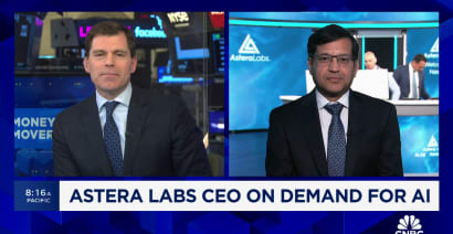 AI is still in the early stages of development, says Astera Labs CEO