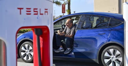 Tesla scraps low-cost car plans amid fierce Chinese EV competition: Reuters
