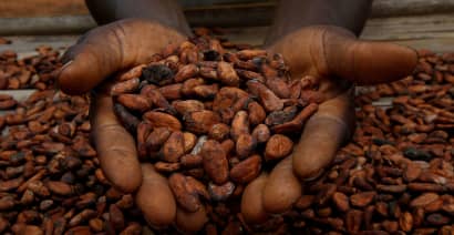 Cocoa prices are soaring to record levels. What it means for consumers
