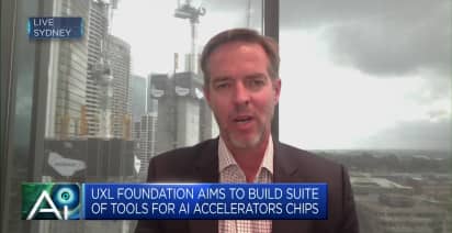 Incumbent AI players will dominate smaller ones in the short term: Portfolio manager